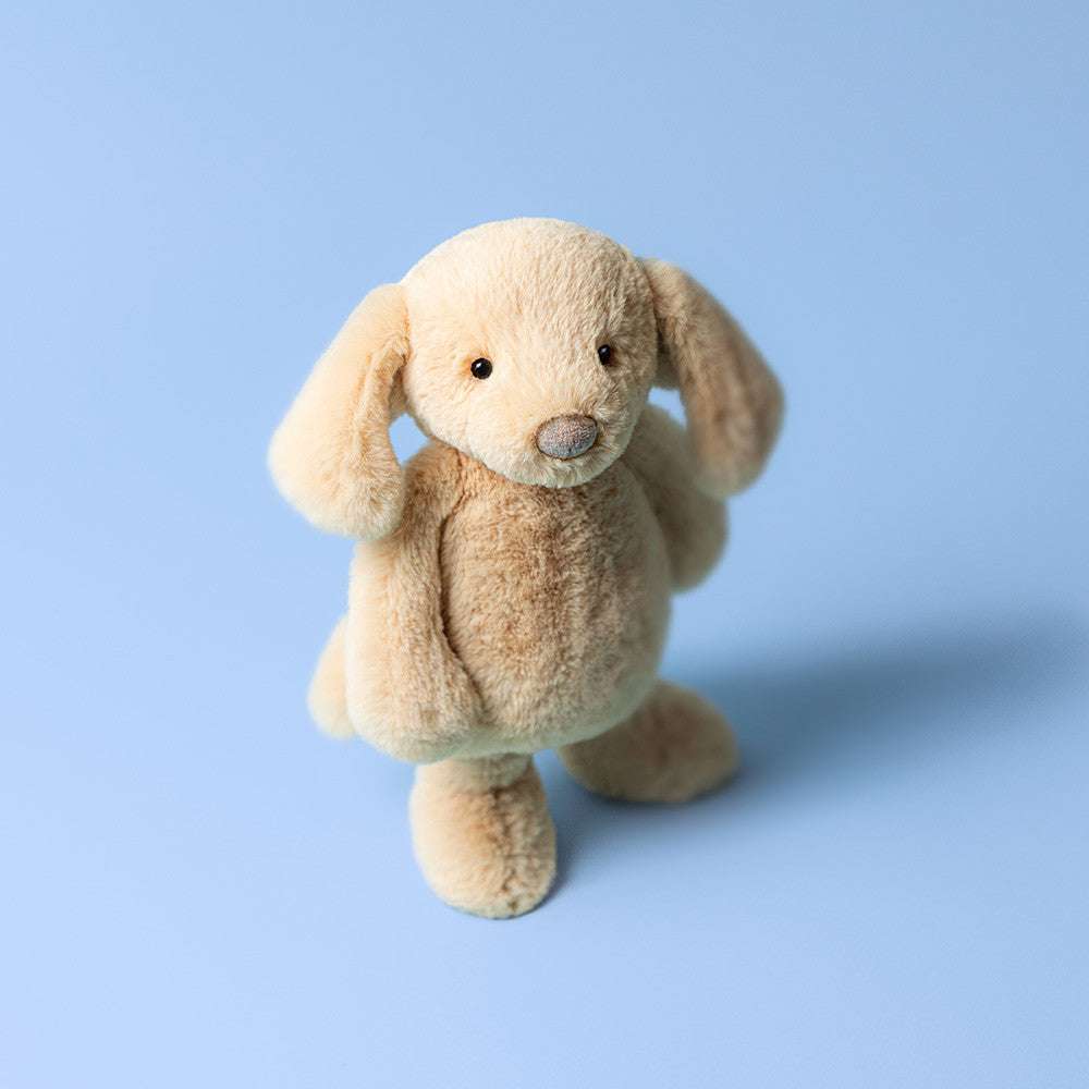 Bashful Luxe Puppy Orlando Original - Caitly
