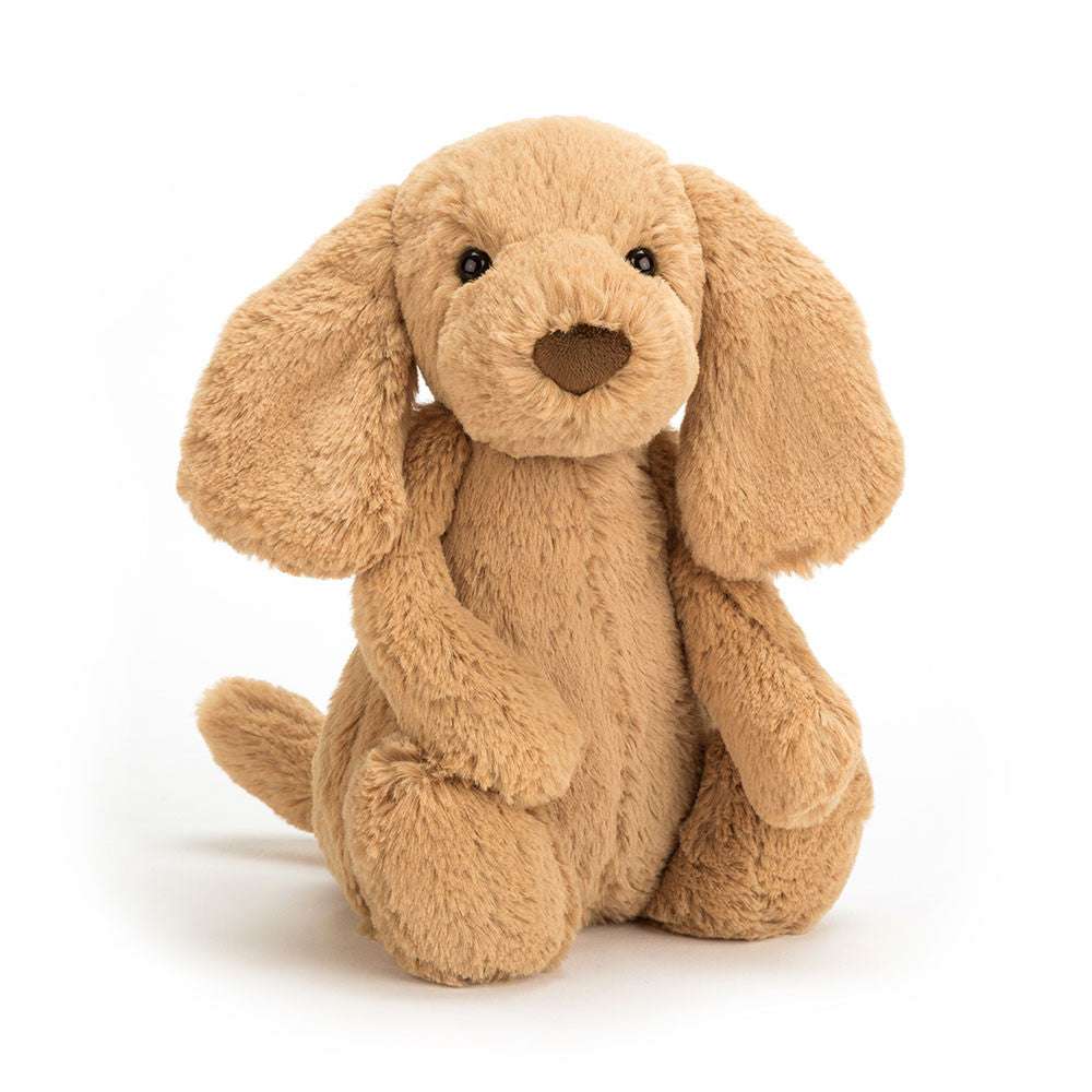 Bashful Toffee Puppy - Caitly