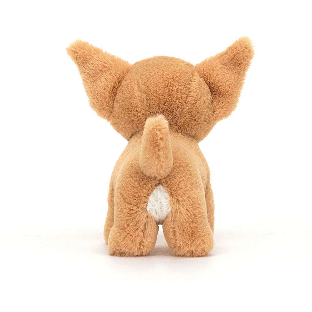 Isobel Chihuahua Jelly cat