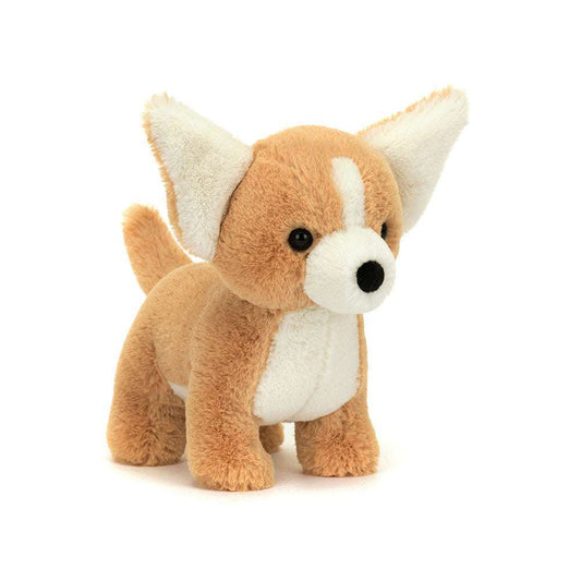 Isobel Chihuahua - Caitly